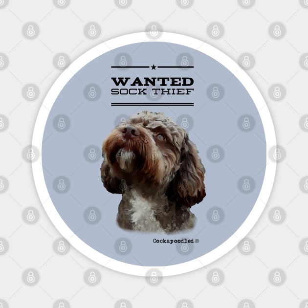 Cockapoo / Doodle Dog Sock Thief Magnet by WoofnDoodle 
